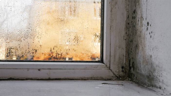 Hem evinizi kötü gösteriyor, hem sağlık açısından zararlı: İşte rutubeti geçiren yöntemler 1